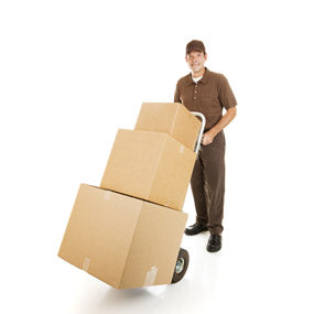 Free Shipping  | Serious Garages