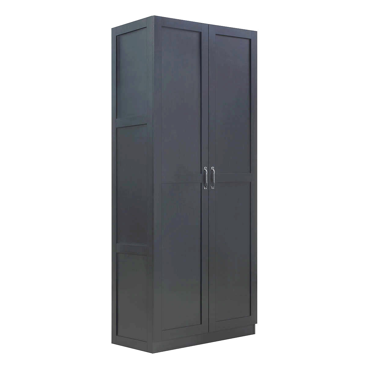 Tall Cabinets dark gray wood garage storage unit with 2 doors, silver handles, and 4 shelves for hidden organization__Black