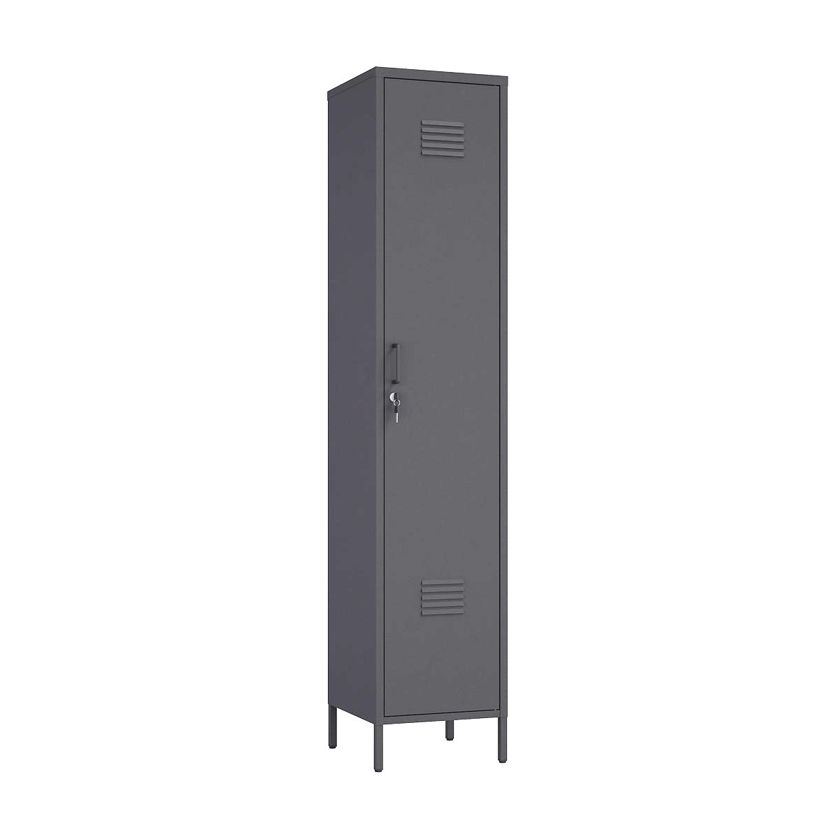 Narrow Garage Cabinets, 15" Metal Storage, Slim Design storage locker in sleek gray finish, ideal for organizing garage items__Black